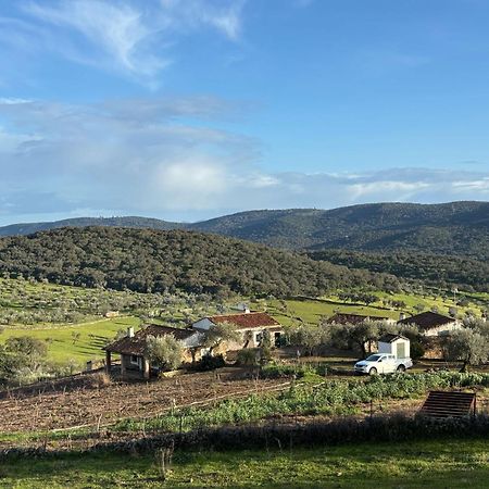Casas Rurales Los Llanos Fuentes de León エクステリア 写真