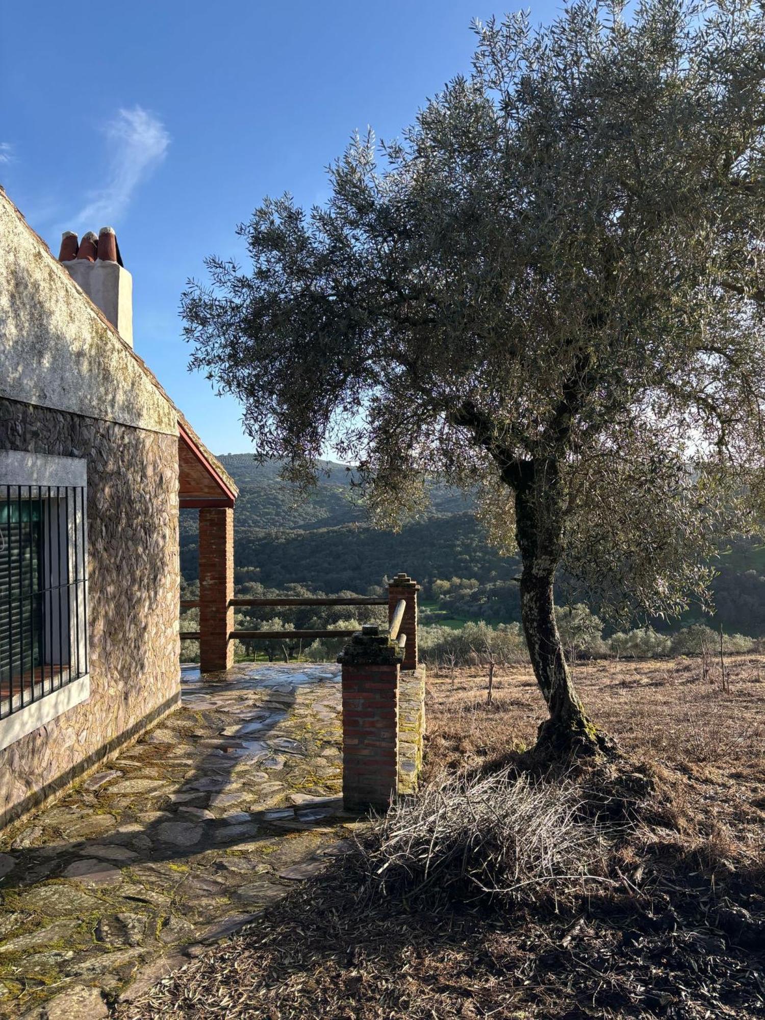 Casas Rurales Los Llanos Fuentes de León エクステリア 写真