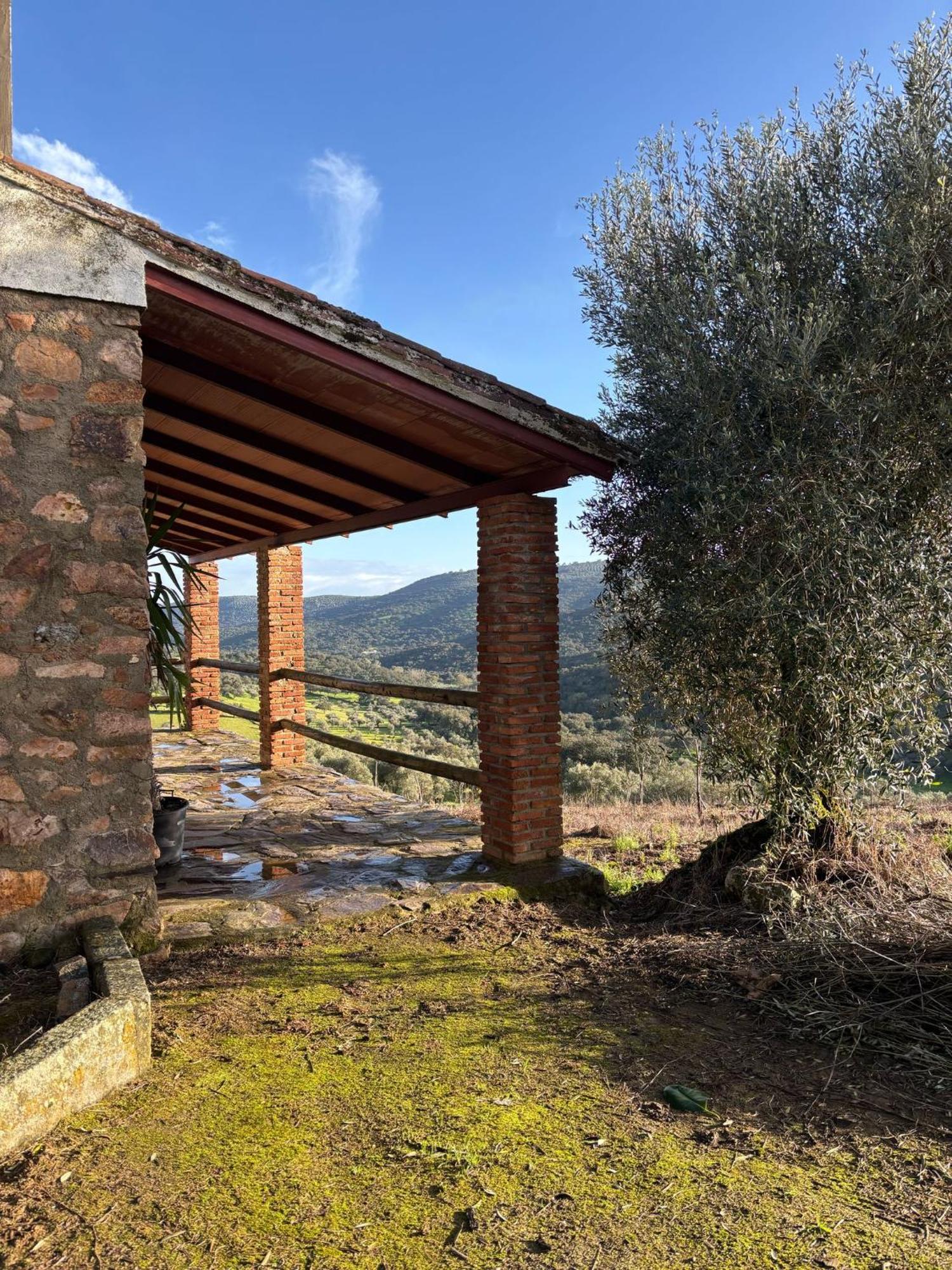 Casas Rurales Los Llanos Fuentes de León エクステリア 写真