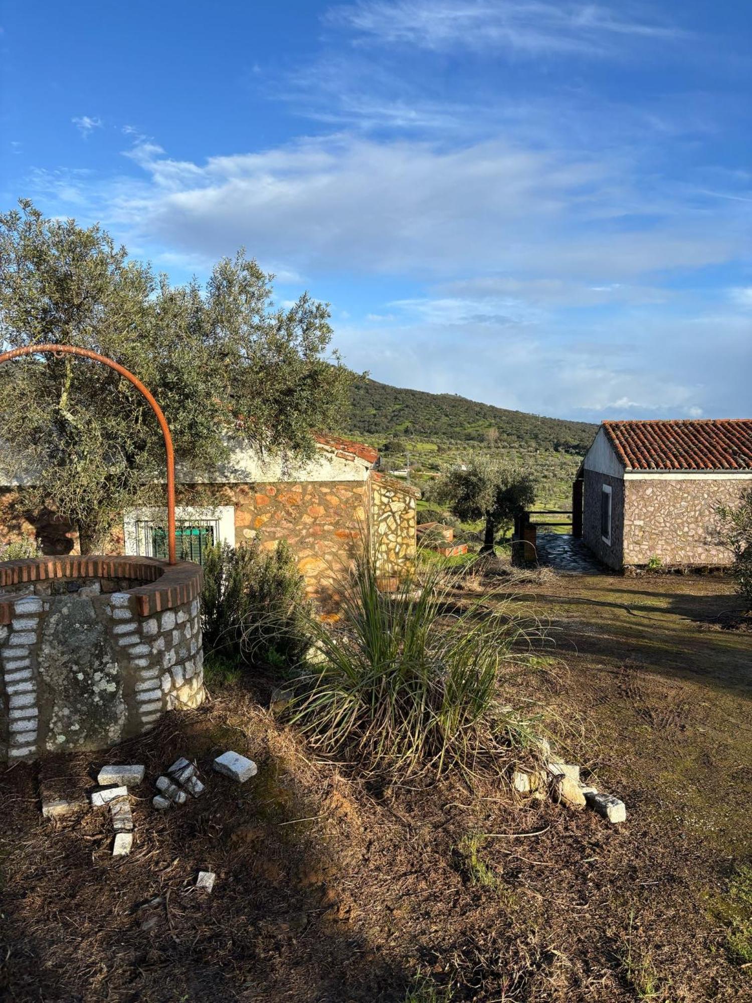 Casas Rurales Los Llanos Fuentes de León エクステリア 写真
