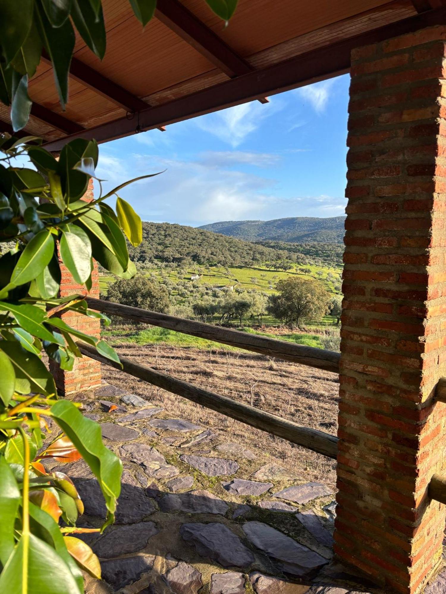 Casas Rurales Los Llanos Fuentes de León エクステリア 写真