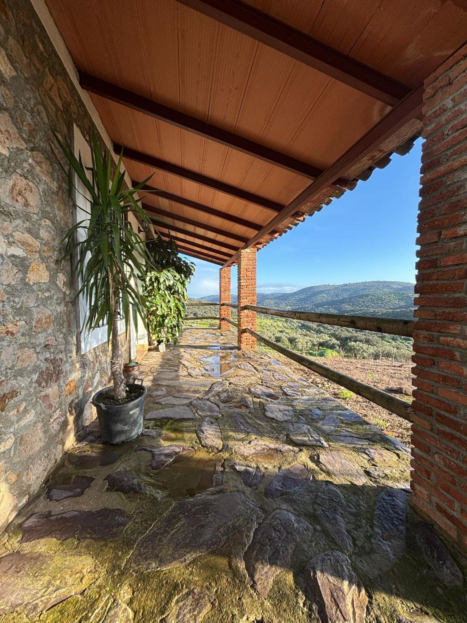 Casas Rurales Los Llanos Fuentes de León エクステリア 写真