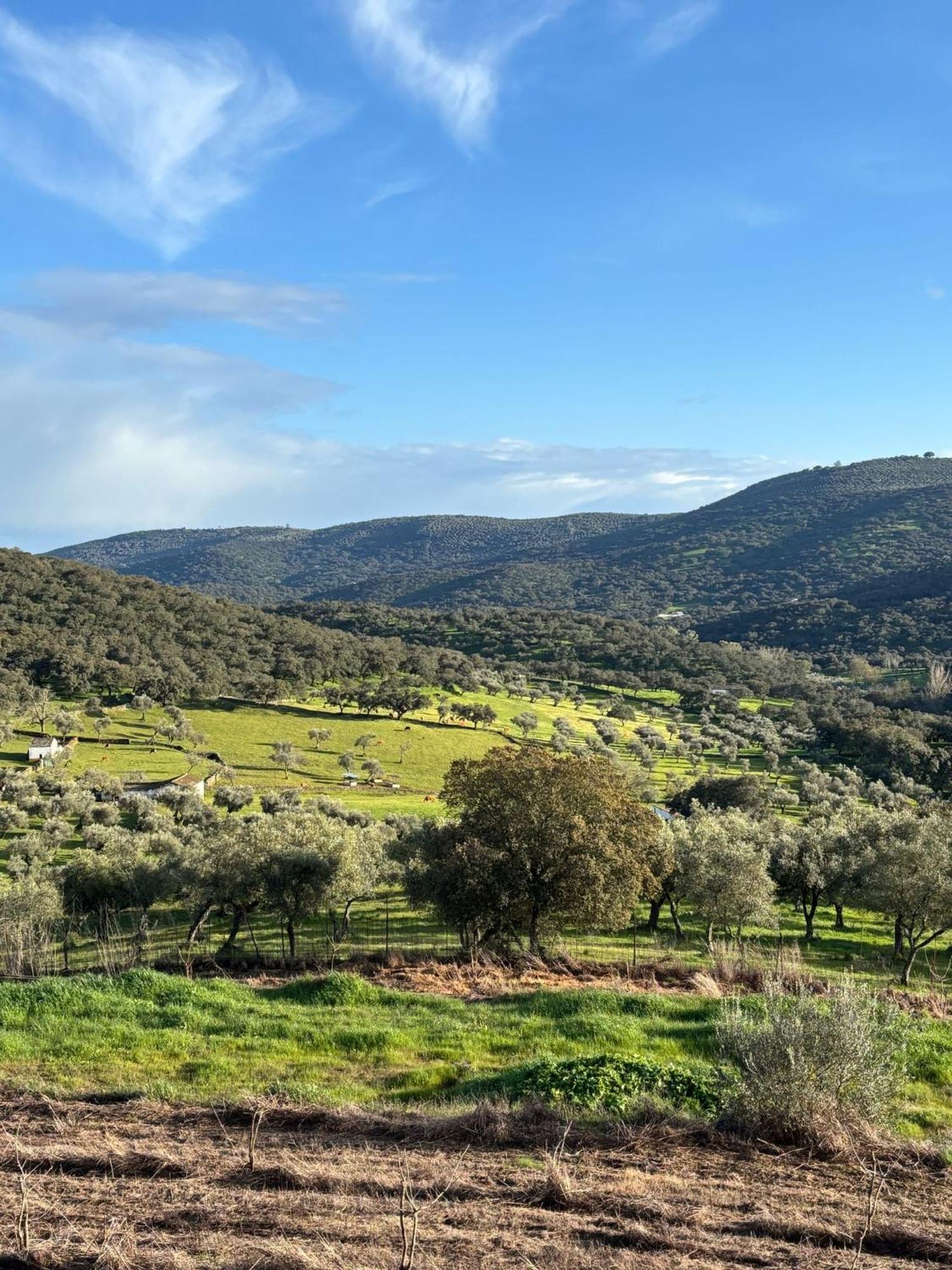 Casas Rurales Los Llanos Fuentes de León エクステリア 写真