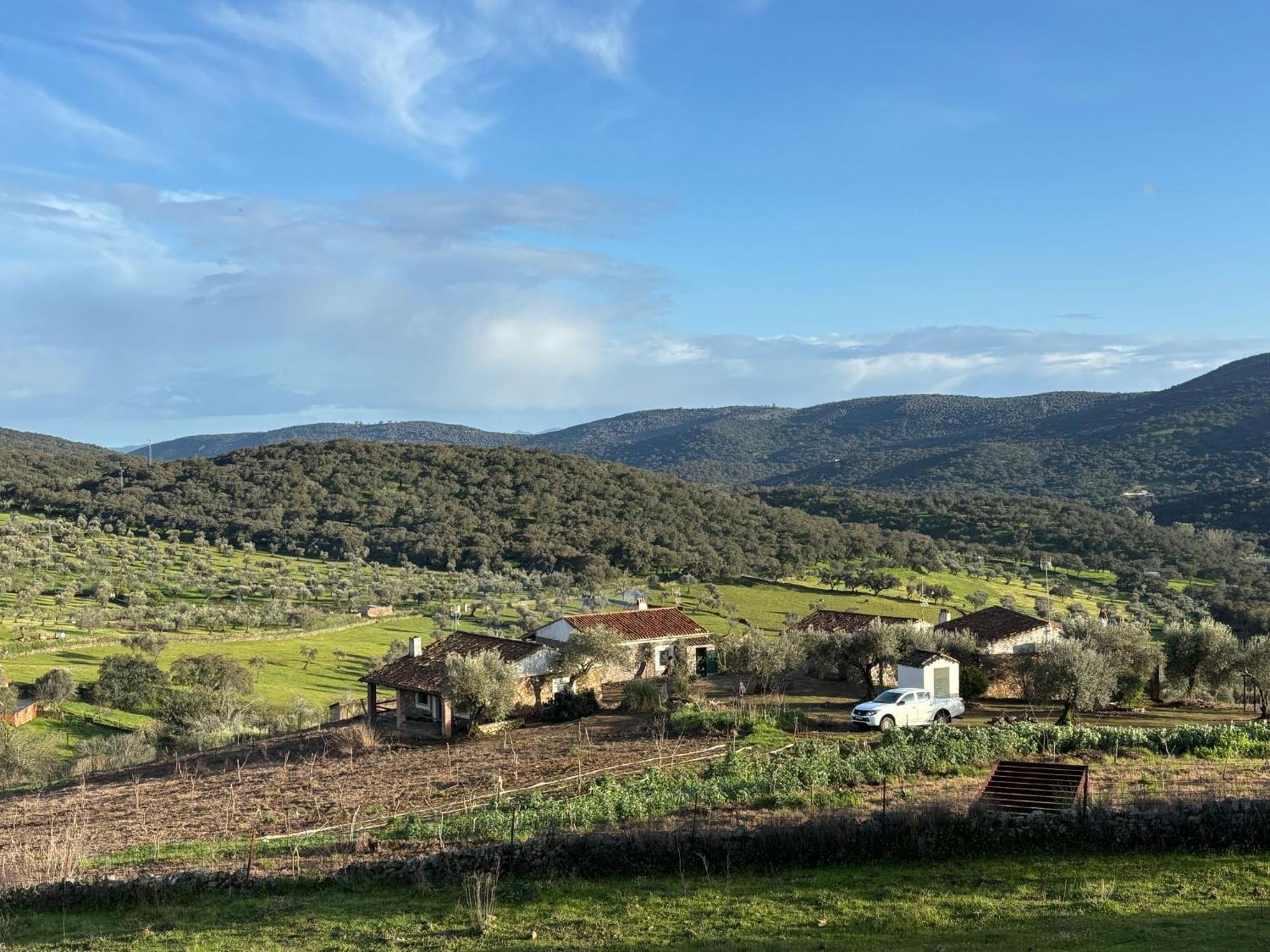 Casas Rurales Los Llanos Fuentes de León エクステリア 写真